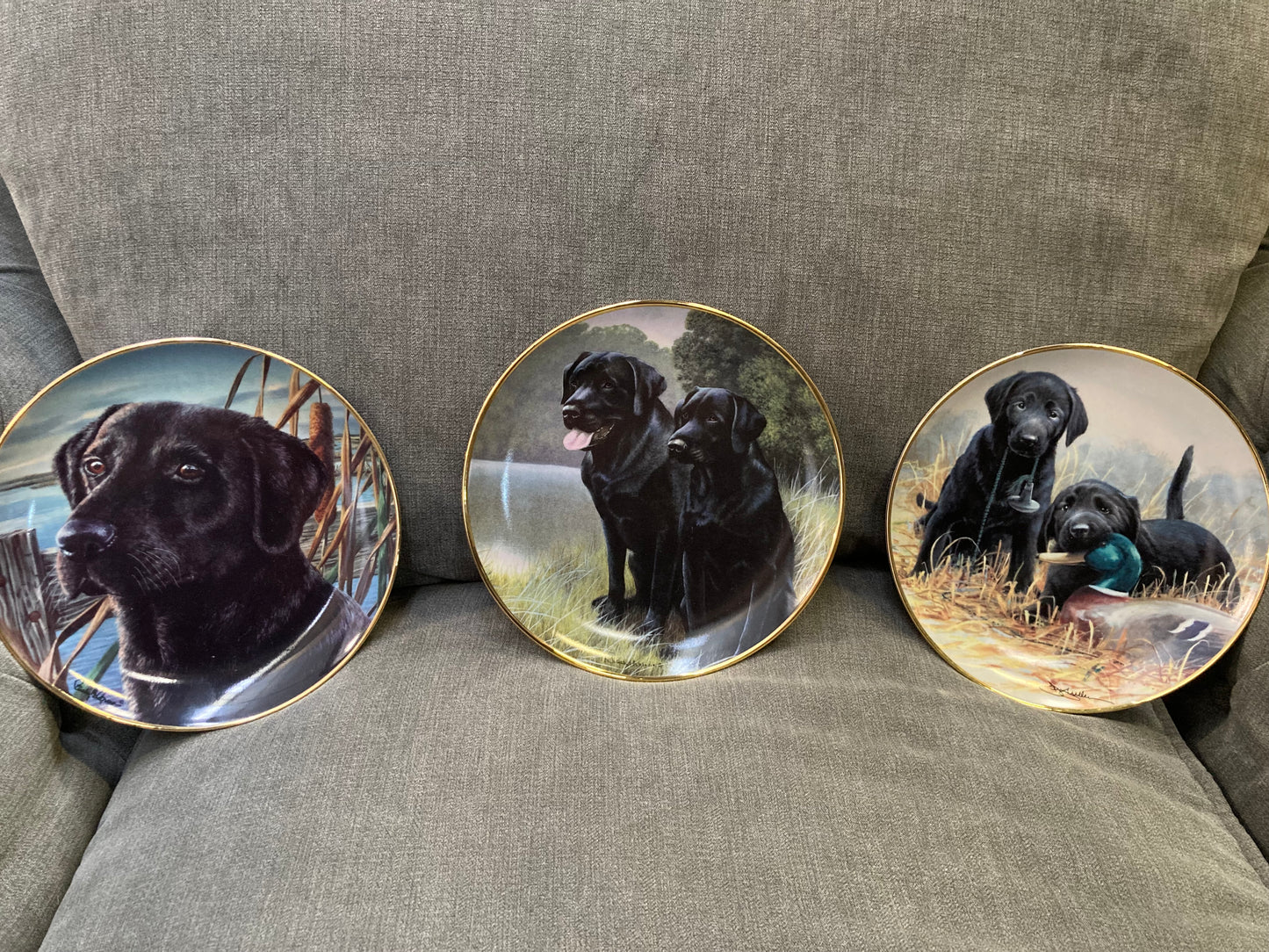 🐾 Franklin Mint Labrador Plate Set – Limited Edition 🐾