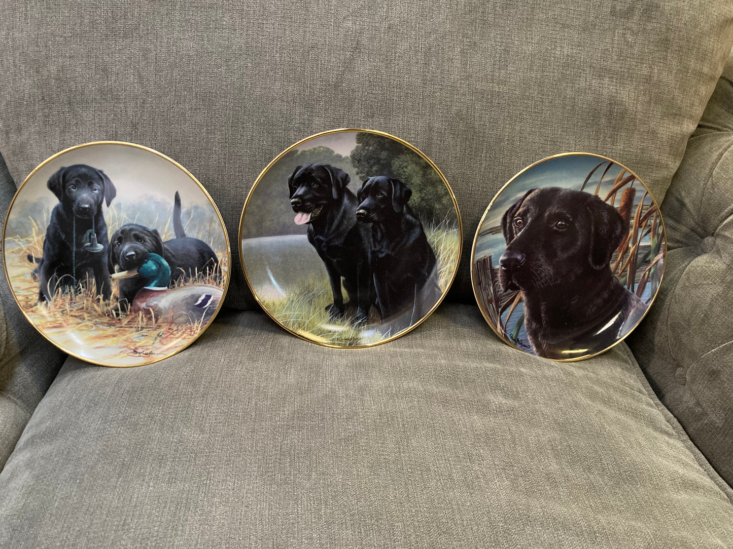 🐾 Franklin Mint Labrador Plate Set – Limited Edition 🐾